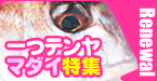 一つテンヤマダイ特集