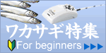 ワカサギ特集ページへ