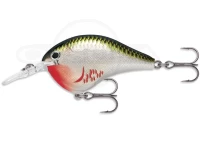  ラパラ DTシリーズ 