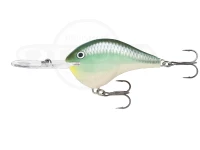  ラパラ DTシリーズ 