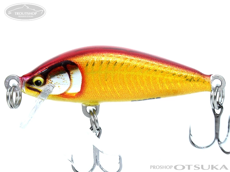 ラパラ カウントダウンエリート３ ５ｃｍ ｃｄｅ３５ １０個セット Helpalexnow Com