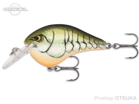  ラパラ DTシリーズ 