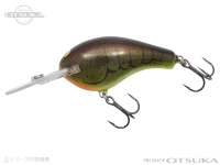  バグリー ダイビングB 