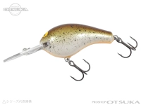  バグリー ダイビングB 