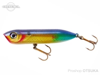  ヘドン チャギンスプーク 