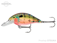  ルーハージェンセン スピードトラップ 