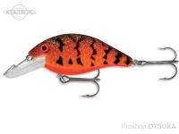  ルーハージェンセン スピードトラップ 