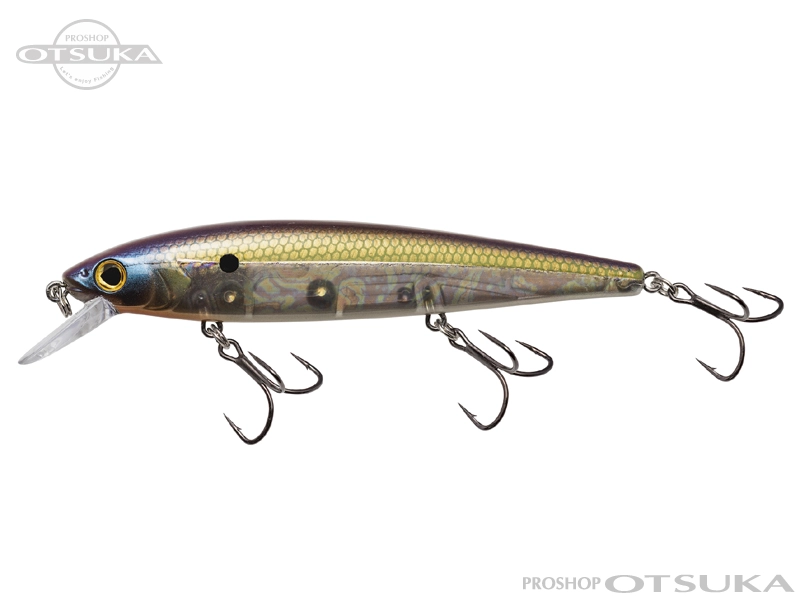 ストライクキング エリート300 4.75in 12oz #335 TN Shad 2.0