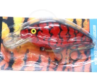  ワーデンス ティンバータイガー 