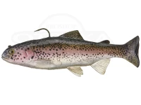  ハドルストン ハドルトラウト 