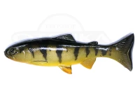  ハドルストン ハドルトラウト 