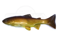  ハドルストン ハドルトラウト 