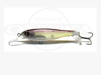 今年初入荷！アンモナイトシャッド入荷です！ | プロショップオオツカ