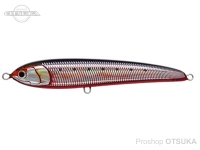  ヤマリア ラピード 