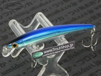  スミス パニッシュ 