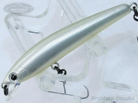  スミス パニッシュ 