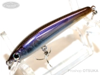 スミス パニッシュ - 55SP #42 ゴーストミラーワカサギ 55mm 2.7g サスペンド