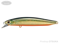 スミス チェリーブラッド - SR90T2 #53 WLウグイ 90mm 9.4g フローティング