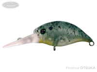  スミス シボクラ 