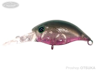  スミス シボクラ 