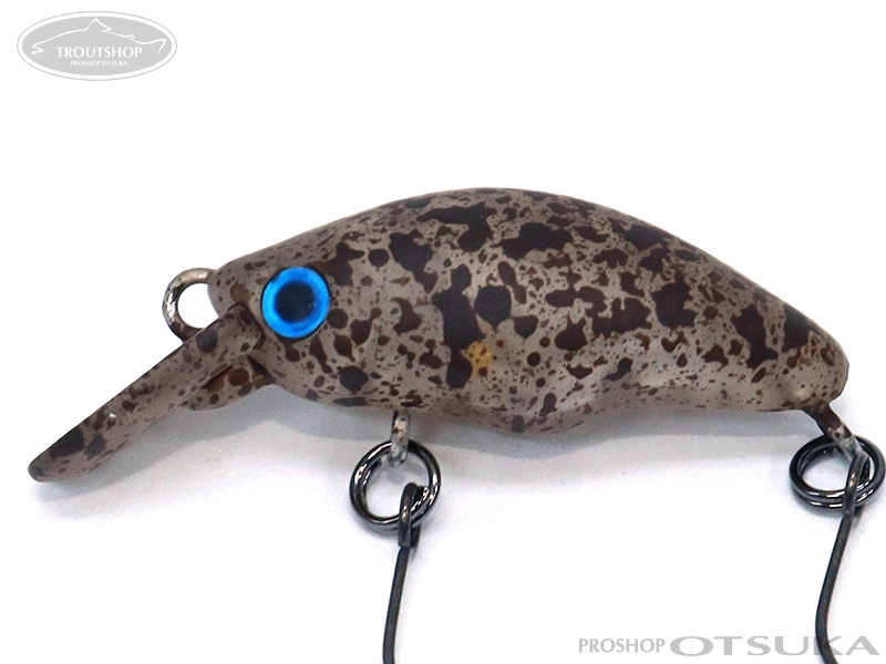 団子魚　DR スミス ダンゴウオ DR-Low