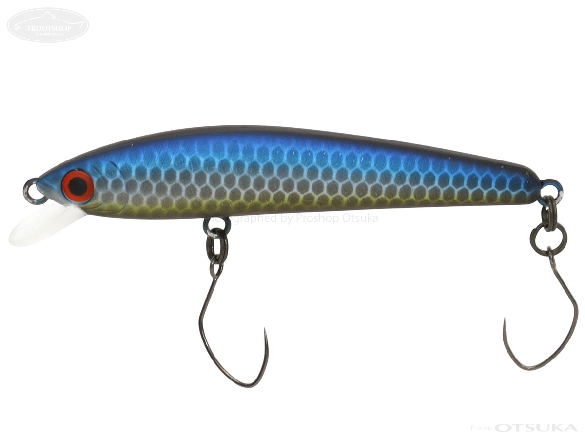 スミス パニッシュ パニッシュエリア55R 55mm 2.5g フローティング #04 アオギン