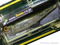  メガバス ドッグX ジュニア コアユ F 