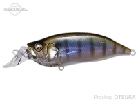 Megabass IXI Shad -  type r  GillKKO 57.0mm 1/4oz Floating