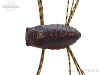  ジャクソン 久遠 