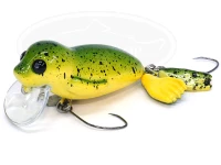  ムカイ ザッシー 