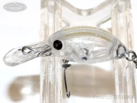  ムカイ スナック 