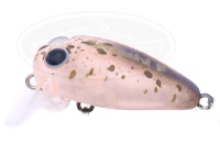  ムカイ トレモ スマッシュ 