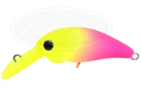  ムカイ ポゴクラ 