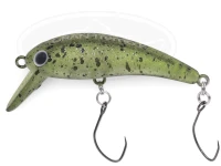  ムカイ グラントレモ 