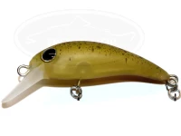 ムカイ　トレモ　スリム　オオツカオリカラ セット ムカイ トレモ スリム オオツカオリカラ セット ムカイトレモ
