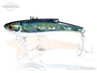  バスデイ レンジバイブ 