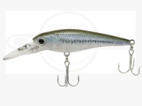 Bevy Shad 60sp