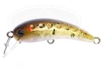  ラッキークラフト ワウ 