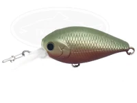  ラッキークラフト クラピー 