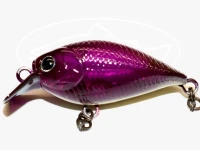 GATE  Midium  CRA-PEA  - GS2 Isesaki Store Original Color Yakumo 34mm 2.9g