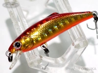  タックルハウス バフェット 