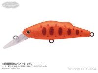  タックルハウス バフェット 