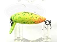  タックルハウス エルフィン ミニシケイダー 