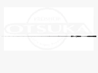 テイルウォーク タイゲーム SD - C67L/LSL  6.70ft ルアーMAX220g PEMAX 1.0号