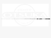 テイルウォーク タイゲーム SD - C67M/LSL  6.70ft ルアーMAX250g PEMAX 1.2号