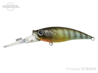  エイテック クレイジーシャッド 