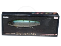 マドネス バラム - 245 #ボラ 245mm 3.7ozクラス