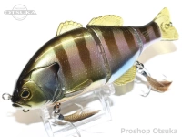  ジャッカル チビタレル 