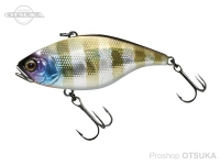  ジャッカル TN65 