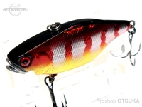  ジャッカル TN60 